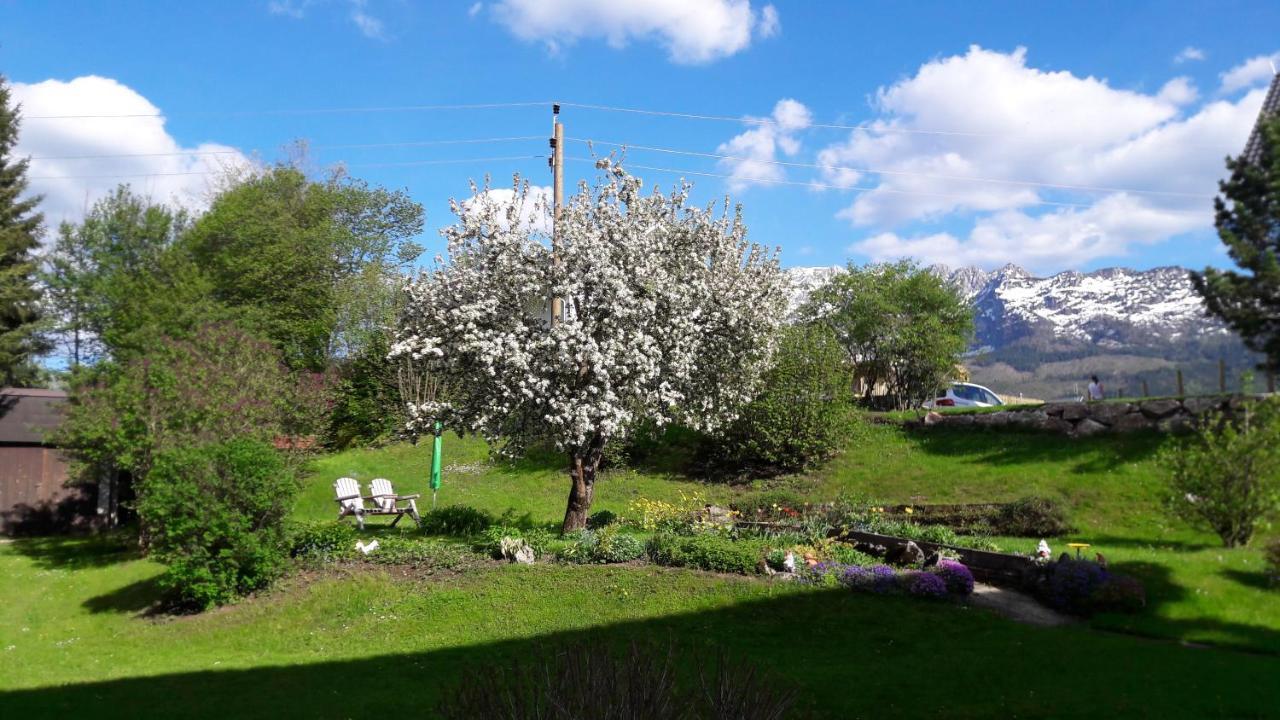 Appartementhaus Theresia Bad Mitterndorf Dış mekan fotoğraf