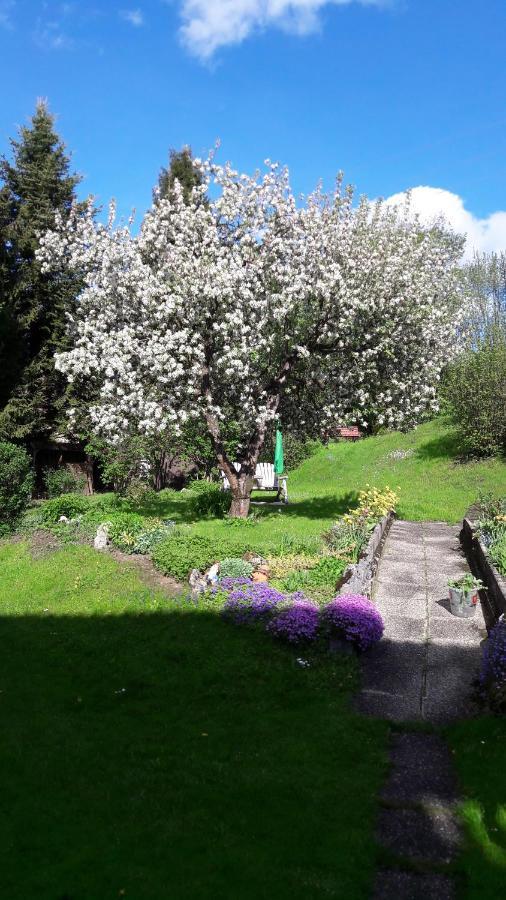 Appartementhaus Theresia Bad Mitterndorf Dış mekan fotoğraf