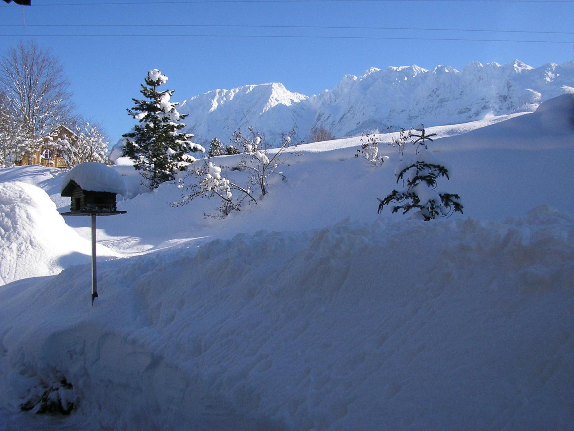 Appartementhaus Theresia Bad Mitterndorf Dış mekan fotoğraf